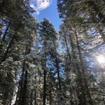 Airbnb/Vrbo Superhosts discount code